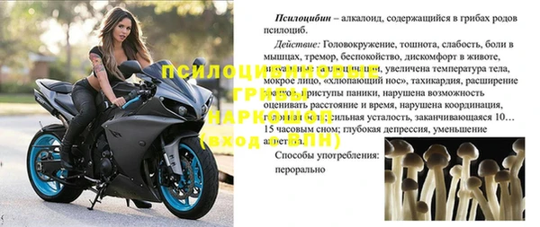 амф Богородск